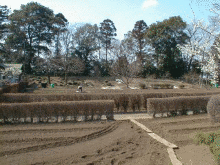 鷲城の画像