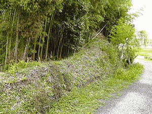 寺村城の画像
