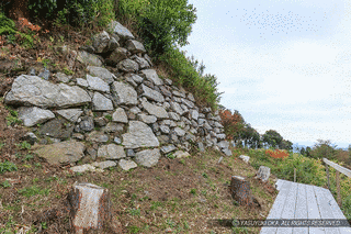 水口岡山城の画像