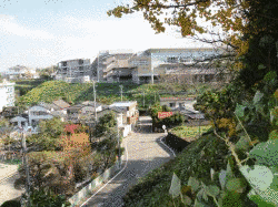 隈庄城の画像