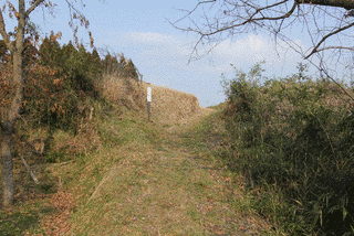 城村城の画像