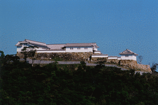 富岡城の画像
