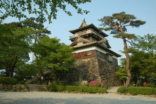 大聖寺城の画像