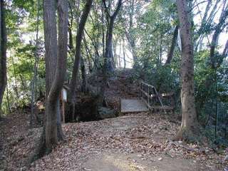 小沢城の画像