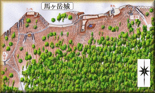 馬ヶ岳城の画像