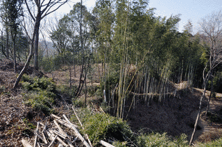 山下城の画像