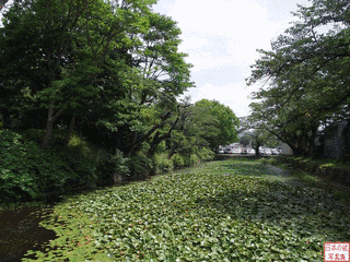 大館城の画像