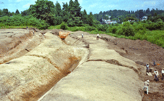 大鳥井山遺跡の画像