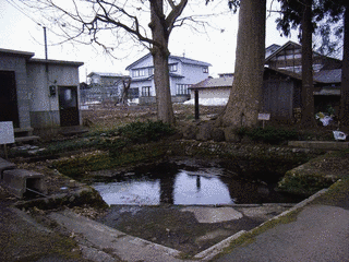 本堂城の画像