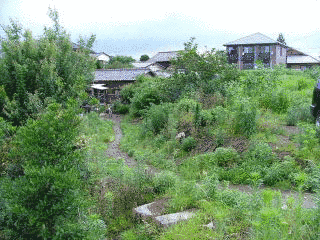 倉賀野城の画像