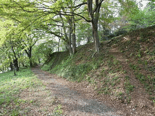 高津戸城の画像