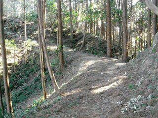 鷹留城の画像