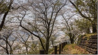 柄杓山城の画像