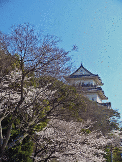 山名城の画像