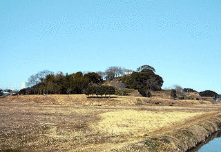 久野城の画像