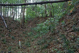 見川城の画像