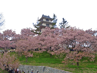 高遠城の画像