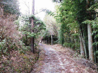 妻籠城の画像