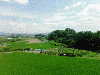 道本城の画像