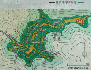 丸子城の画像
