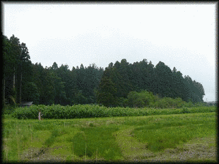 蓬田城の画像
