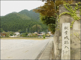 秋葉城の画像