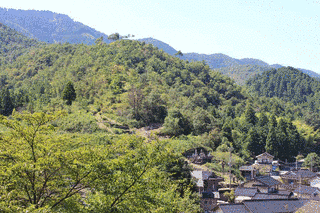朝倉城の画像