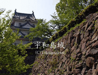 宿毛城の画像