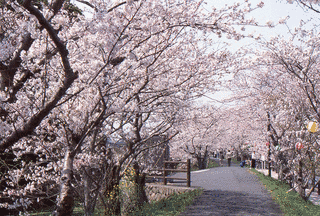 河口城の画像
