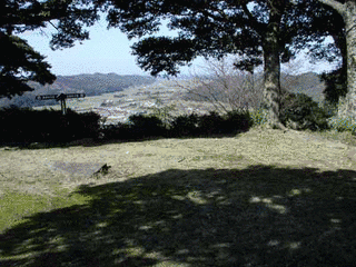 鹿野城の画像