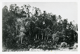 米子城の画像