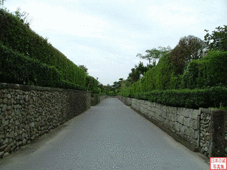 知覧城の画像