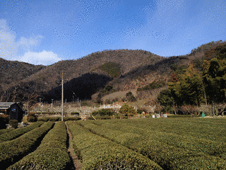 峰ヶ城の画像