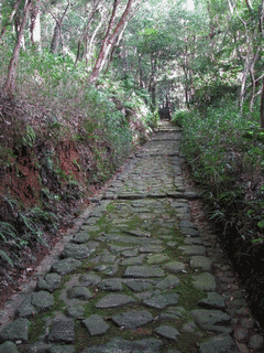 坂手国生神社の画像