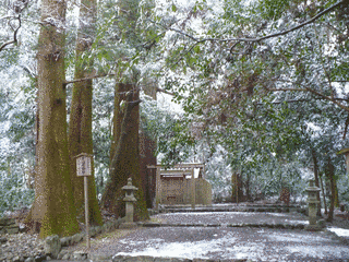 多岐原神社の画像