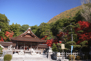出雲大神宮の画像