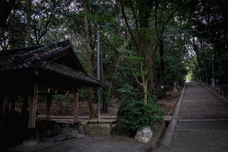 水度神社の画像