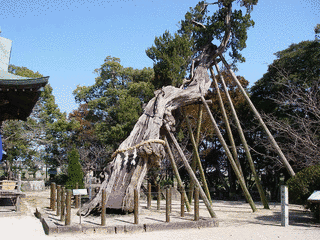 新北神社の画像