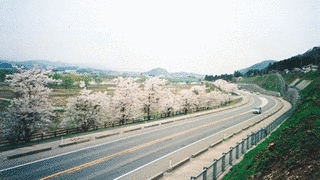 鵜渡路バイパスの画像