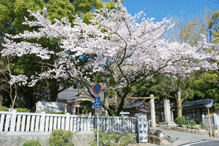 公智神社の画像