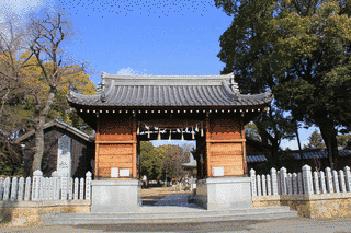 泊神社の画像