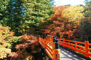 養父神社の画像