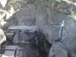姉埼神社の画像