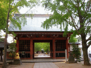 葛飾八幡宮の画像