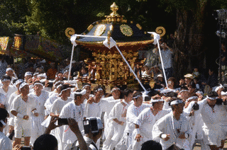 洲宮神社の画像