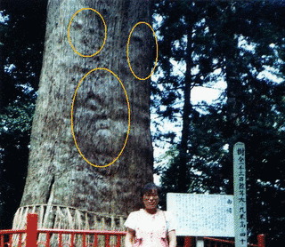 麻賀多神社の画像