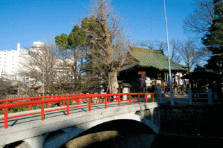 松戸神社の画像