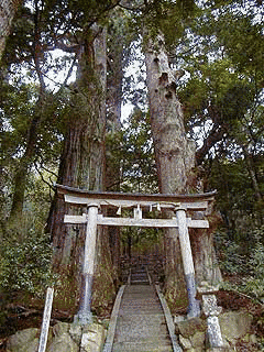 継桜王子の画像