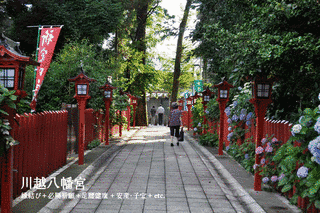 川越八幡宮の画像