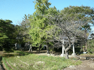 木々子神社の画像